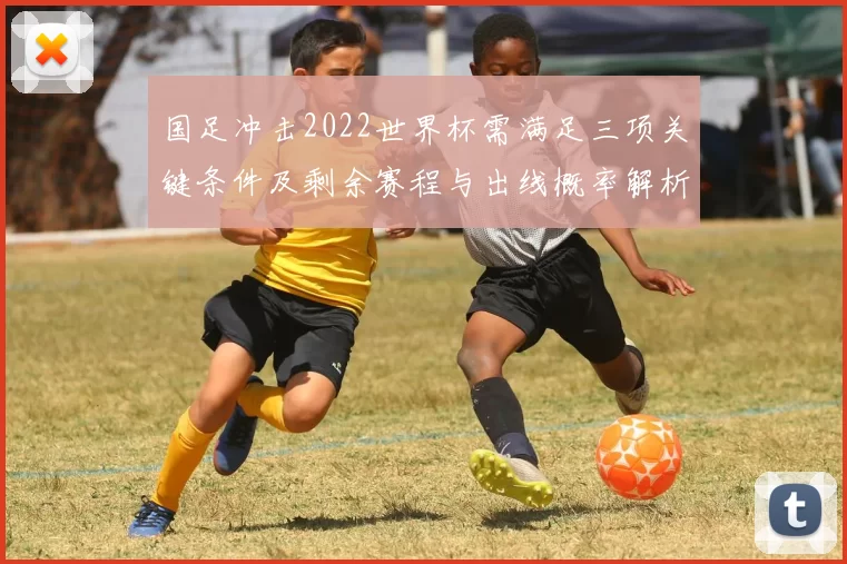 国足冲击2022世界杯需满足三项关键条件及剩余赛程与出线概率解析