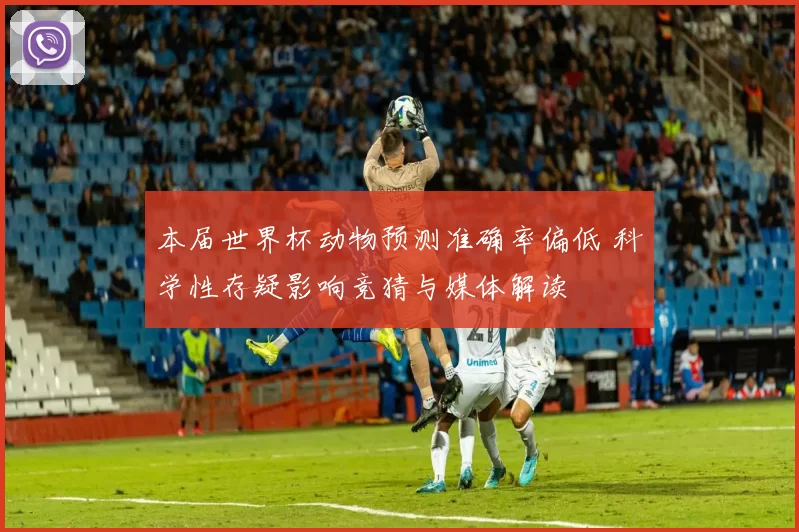 本届世界杯动物预测准确率偏低 科学性存疑影响竞猜与媒体解读