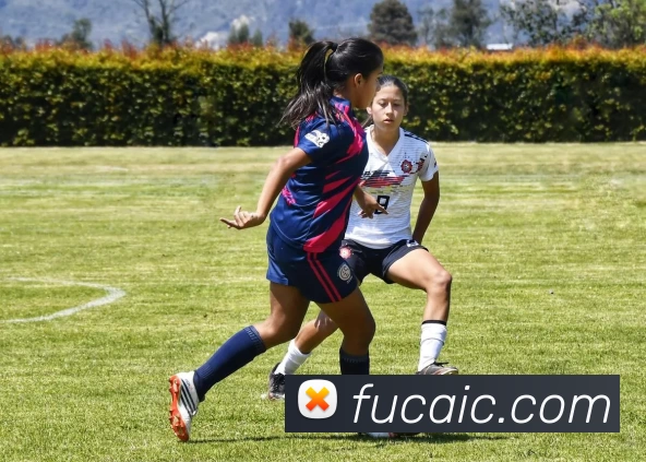 开云网页版·官方版在线 - 开云(中国)服务体系